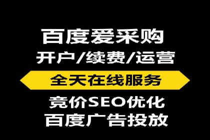 SEM竞价实战：成功案例解析